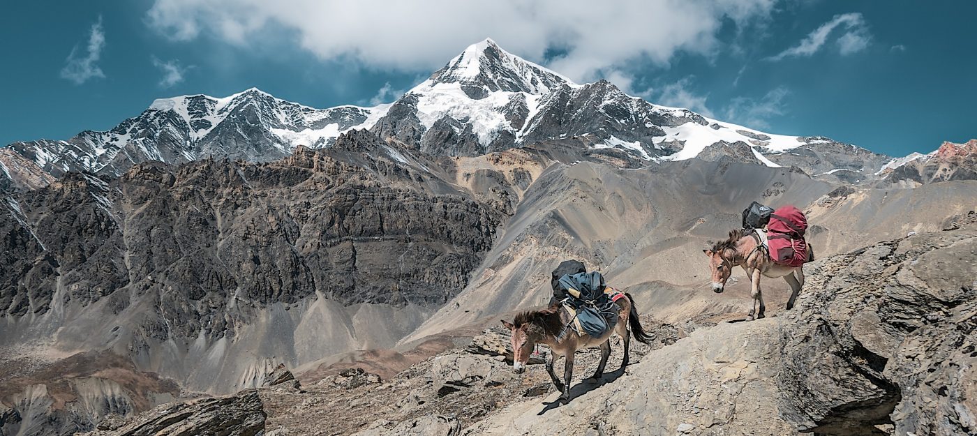 Everest region Himalayan