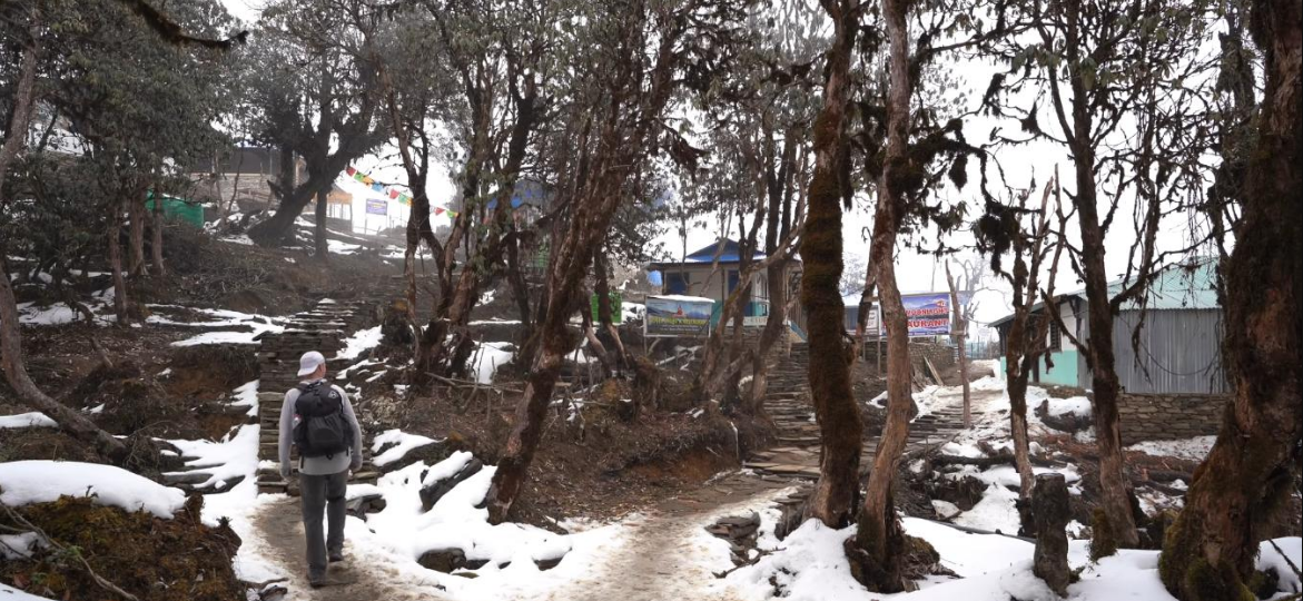 Accommodations at Mardi Himal Trek