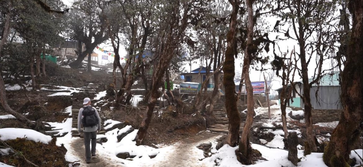  trekking in the Mardi Himal Trek